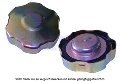 BUSON REZERVOR DE COMBUSTIBIL AKS DASIS 750065N - Piesa auto compatibila cu mai multe marci