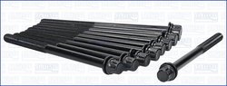 Set suruburi chiulasa Ajusa 81027500