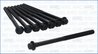 Set suruburi chiulasa Ajusa 81064200