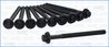 SET SURUBURI CHIULASA AJUSA 81071700 - Compatibil cu FORD, FORD USA, VW