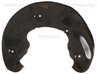 Protectie noroi disc frana Triscan 8125 29110