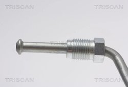 Furtun frana Triscan 8150 16283