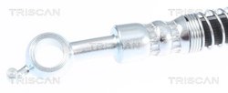 Furtun frana Triscan 8150 43152