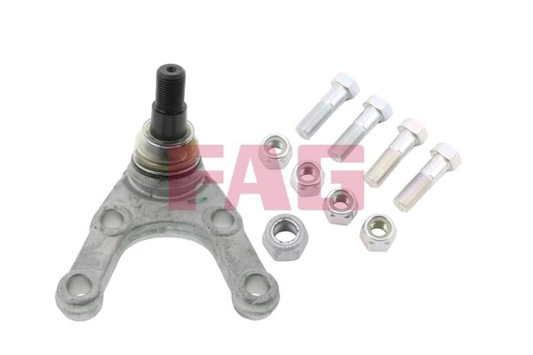 PIVOT FAG 825 0029 10 - Compatibil cu HYUNDAI, MITSUBISHI