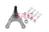 PIVOT FAG 825 0029 10 - Compatibil cu HYUNDAI, MITSUBISHI