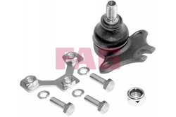 Pivot FAG 825 0143 10