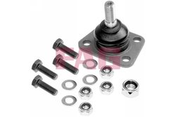 Pivot FAG 825 0181 10