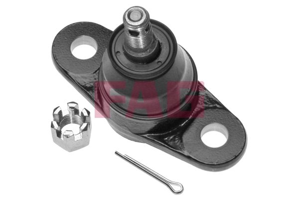 Pivot FAG 825 0310 10