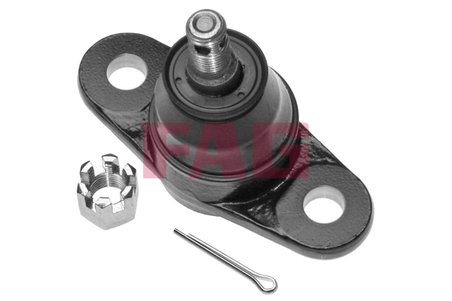 Pivot FAG 825 0310 10