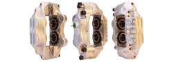 ETRIER FRANA ELSTOCK 83-0306 - Compatibil cu TOYOTA, VW