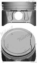 Piston Nural 87-104200-30