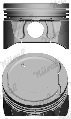 Piston Nural 87-104200-30
