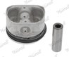 Piston Nural 87-104200-30