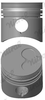 Piston Nural 87-109507-00