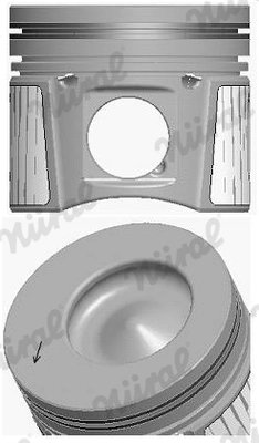 Piston Nural 87-437007-10
