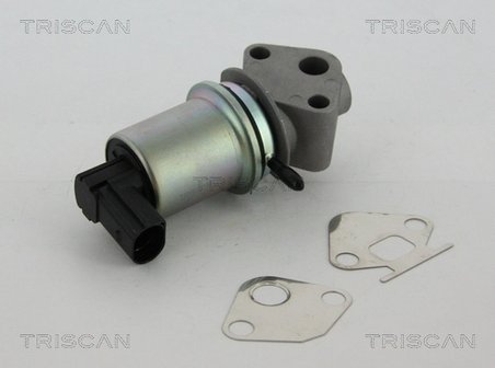 Supapa EGR Triscan 8813 29004