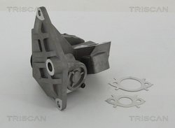 Supapa EGR Triscan 8813 29047