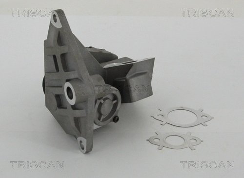 Supapa EGR Triscan 8813 29047