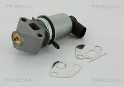 Supapa EGR Triscan 8813 29004