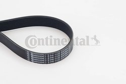 Curea transmisie CONTINENTAL 8PK1122 EXTRA