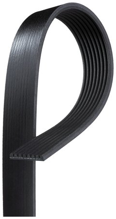 CUREA TRANSMISIE GATES 8PK1610HD - Compatibil cu KING LONG, MERCEDES-BENZ, SCANIA