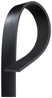 CUREA TRANSMISIE GATES 8PK1610HD - Compatibil cu KING LONG, MERCEDES-BENZ, SCANIA