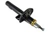 Amortizor Magnum Technology AGA004MT