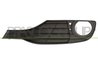 GRILA VENTILATIE, BARA PROTECTIE PRASCO BM0282134 - Compatibil cu BMW