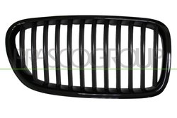 Grila radiator Prasco BM0482004