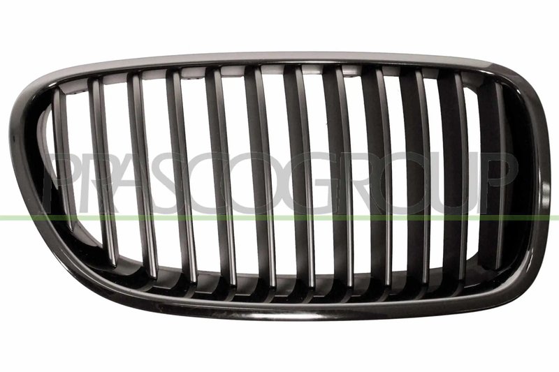 Grila radiator Prasco BM0482003
