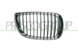 Grila radiator Prasco BM1202003
