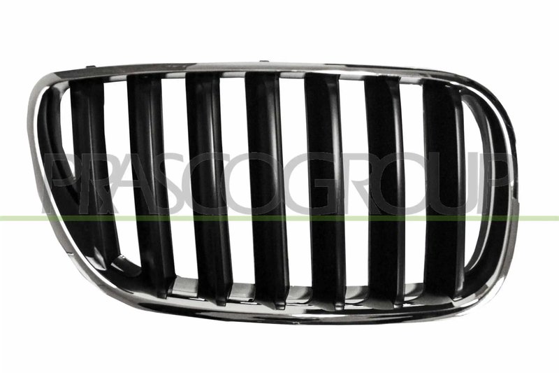 Grila radiator Prasco BM8032003