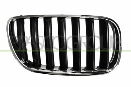 Grila radiator Prasco BM8032003