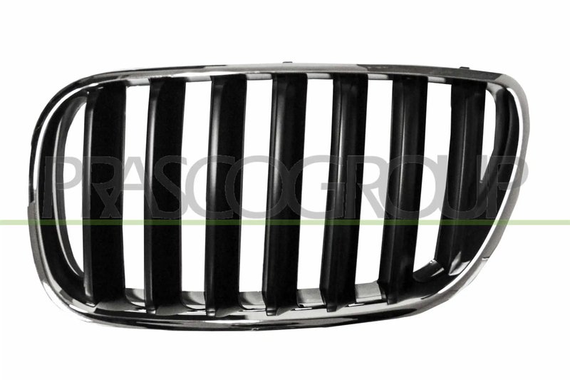 Grila radiator Prasco BM8032004