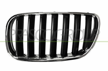 Grila radiator Prasco BM8032004