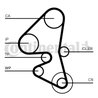 Set distributie curea si pompa apa CONTINENTAL CT1203WP1