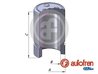 Piston etrier frana AUTOFREN SEINSA D025351