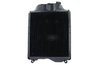Radiator racire motor Thermotec D7AG079TT