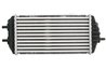 Intercooler Thermotec DA05015TT
