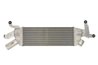 Intercooler Thermotec DAC022TT