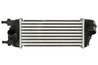 Intercooler Thermotec DAF015TT