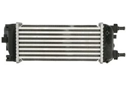 Intercooler Thermotec DAF015TT