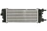 Intercooler Thermotec DAF015TT