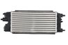 Intercooler Thermotec DAG018TT