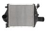INTERCOOLER THERMOTEC DAM013TT - Compatibil cu MERCEDES-BENZ