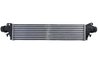 Intercooler Thermotec DAX039TT