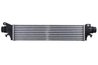 Intercooler Thermotec DAX039TT