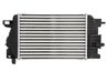 INTERCOOLER THERMOTEC DAX017TT - Compatibil cu OPEL, VAUXHALL