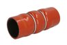 Furtun radiator Thermotec DCP021TTS