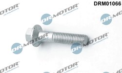 SURUB, SUPORT INJECTOR DR.MOTOR AUTOMOTIVE DRM01066 - Compatibil cu FORD